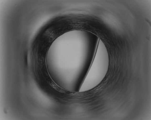 X0000091990383200709061225