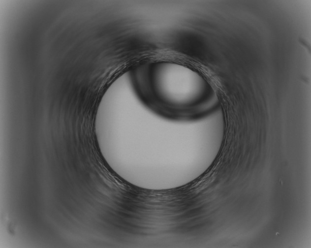 X0000091990384200709061225