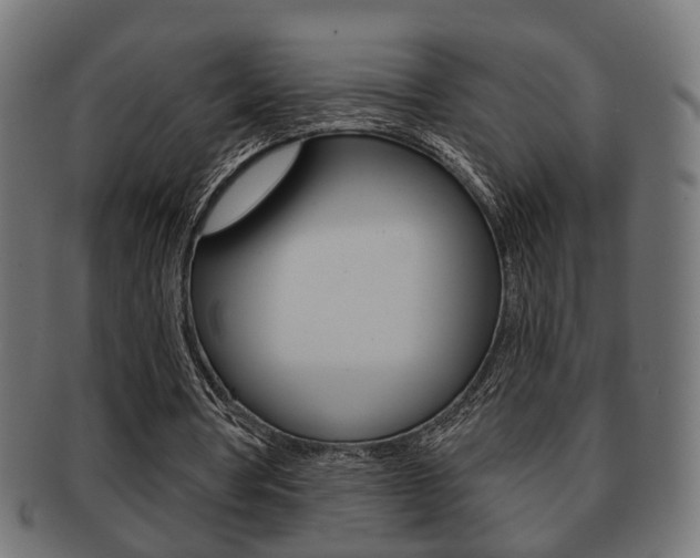 X0000091990386200709061225