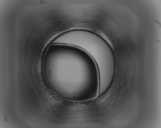 X0000091990387200709061225