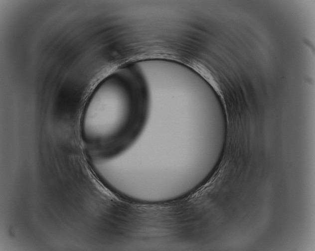 X0000091990389200709061225