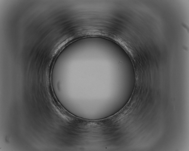 X0000091990390200709061225