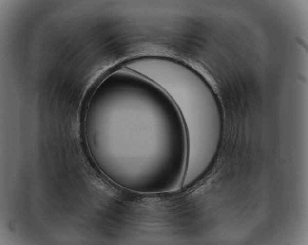 X0000091990391200709061225