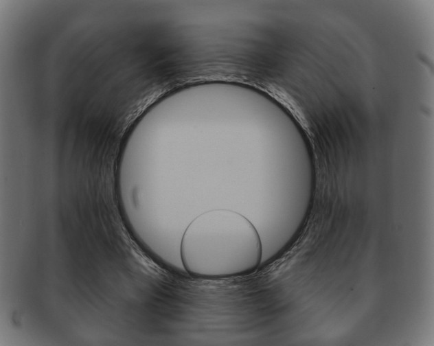 X0000091990393200709061225