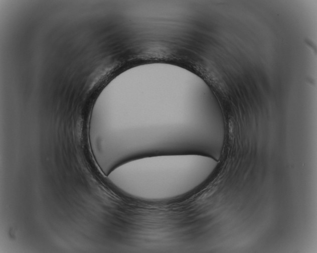 X0000091990396200709061225