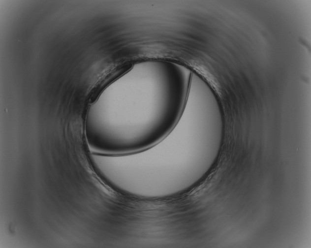 X0000091990397200709061225