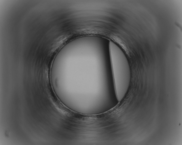 X0000091990398200709061225