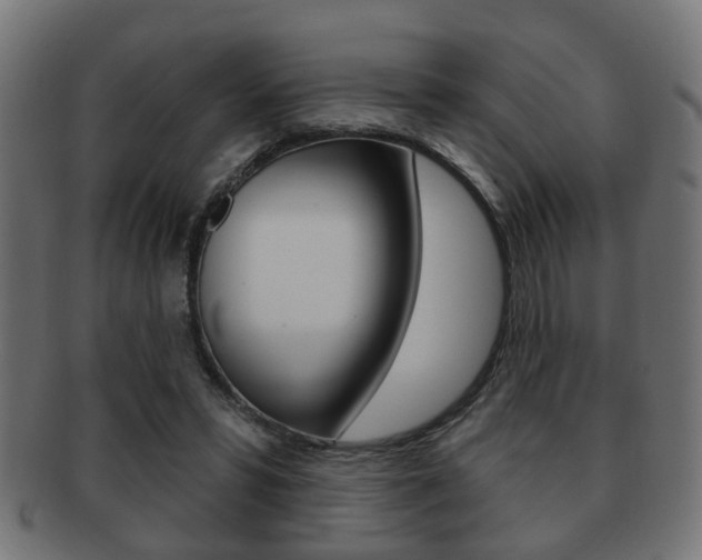 X0000091990399200709061225