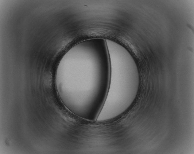 X0000091990400200709061225