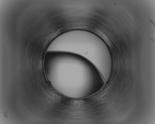 X0000091990401200709061225
