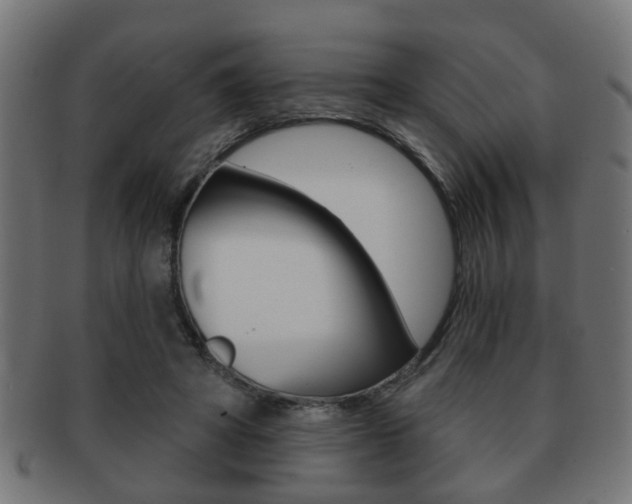 X0000091990402200709061225