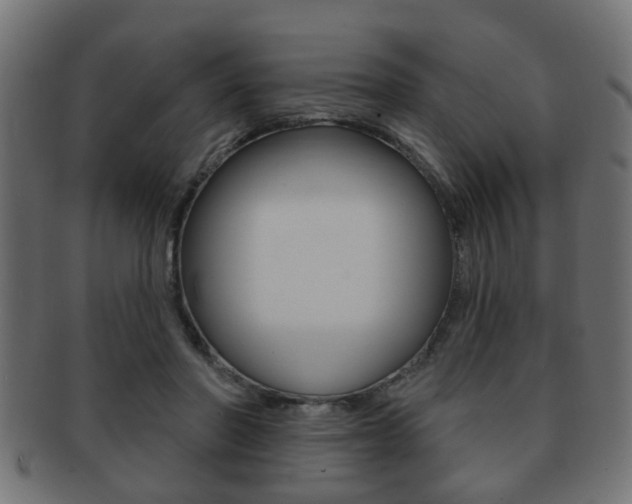 X0000091990406200709061225