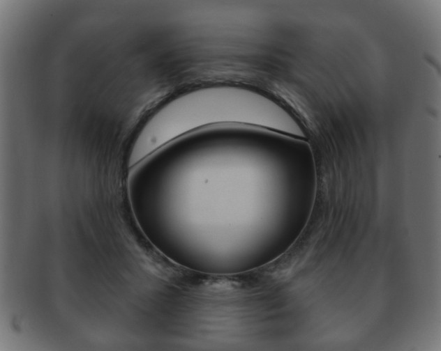 X0000091990407200709061225