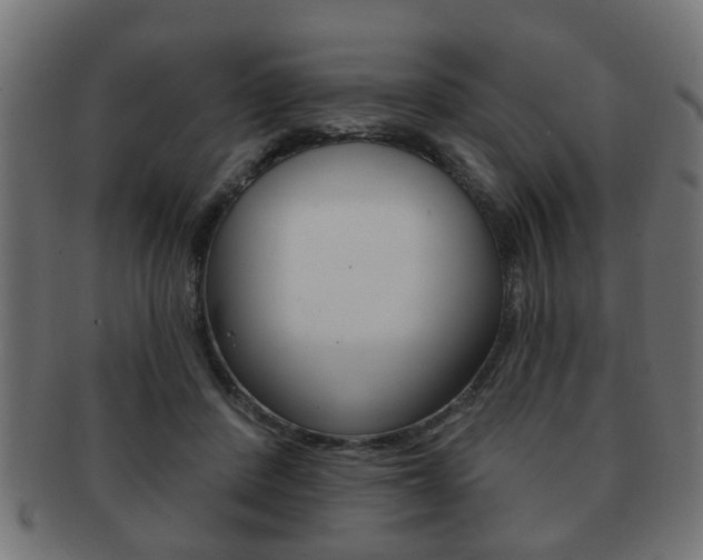 X0000091990408200709061225