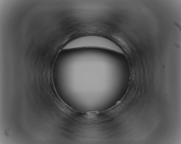 X0000091990409200709061225