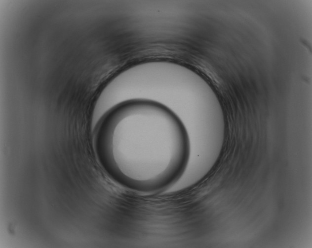 X0000091990411200709061225