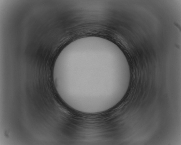 X0000091990412200709061224
