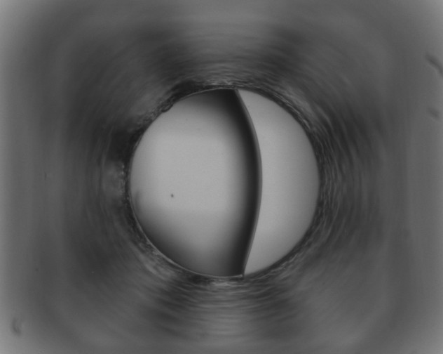 X0000091990413200709061224