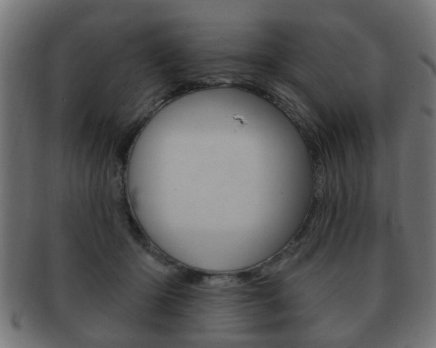 X0000091990414200709061224
