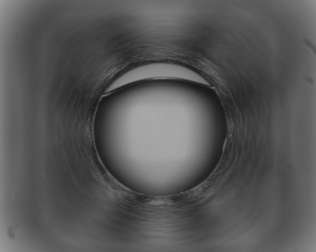 X0000091990415200709061224