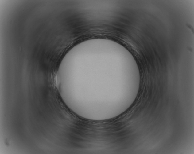 X0000091990417200709061224