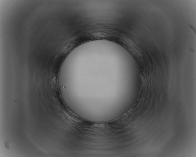 X0000091990418200709061224