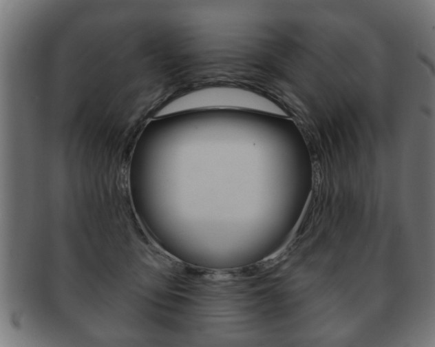 X0000091990419200709061224