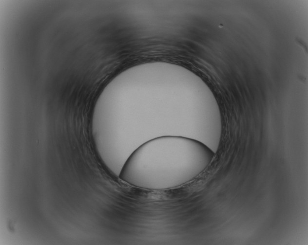 X0000091990420200709061224