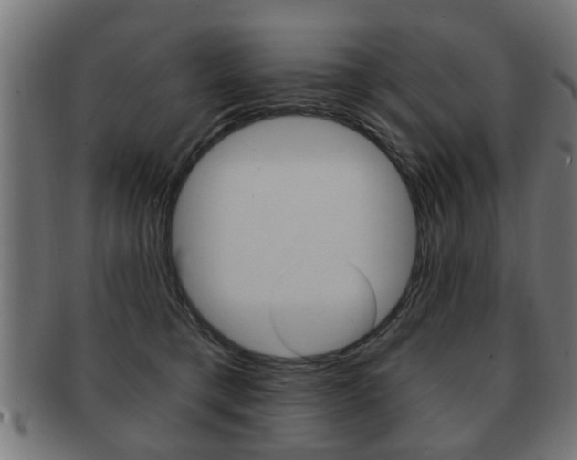 X0000091990421200709061224
