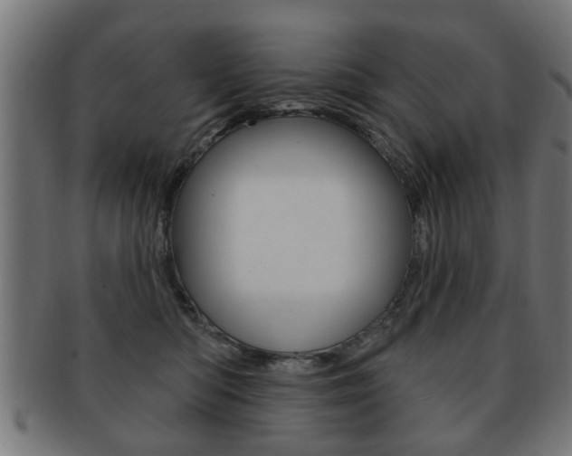 X0000091990422200709061224