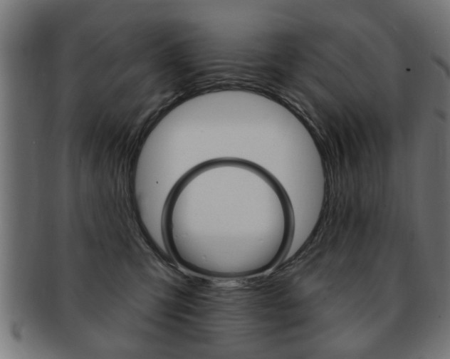 X0000091990423200709061224