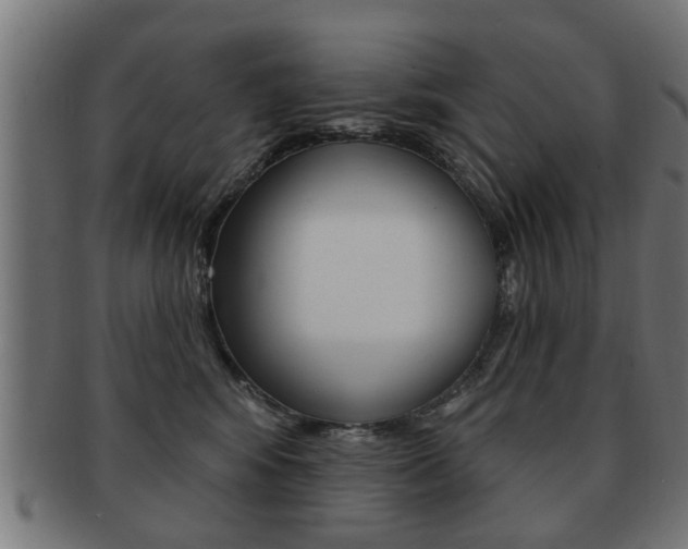 X0000091990424200709061224