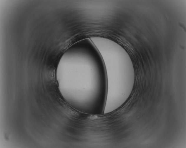 X0000091990425200709061224