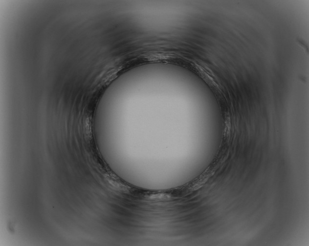 X0000091990426200709061224