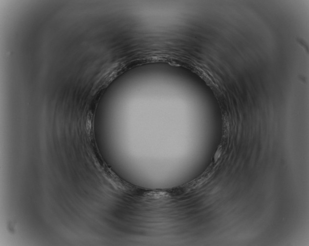X0000091990427200709061224