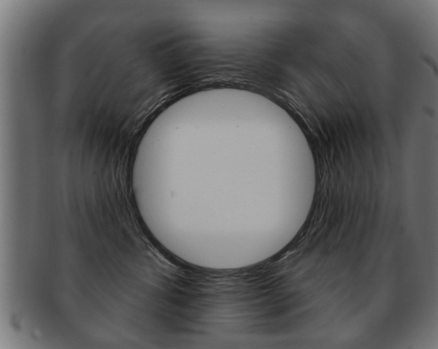 X0000091990428200709061224