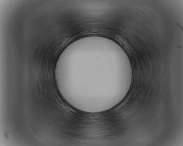 X0000091990429200709061224