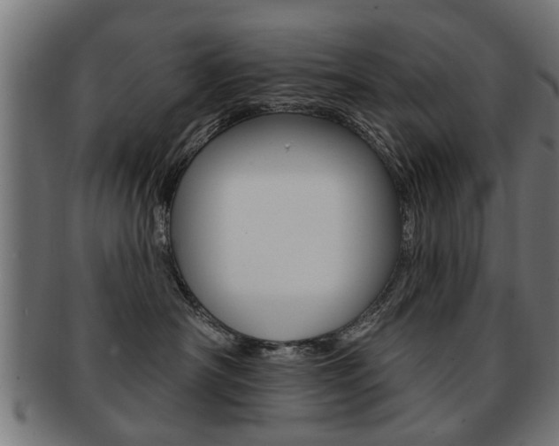 X0000091990430200709061224