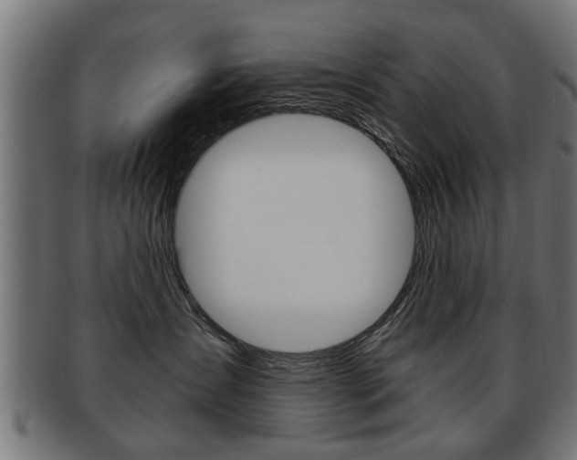 X0000091990431200709061224