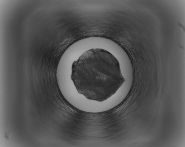 X0000091990432200709061224