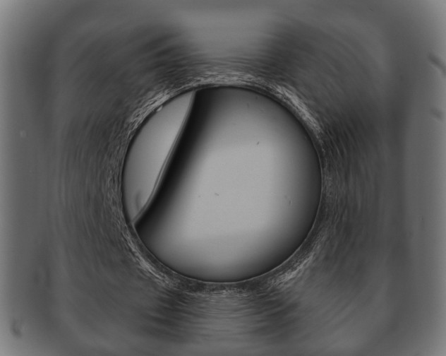 X0000091990433200709061224