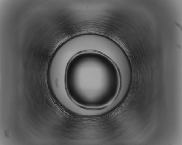 X0000091990434200709061224