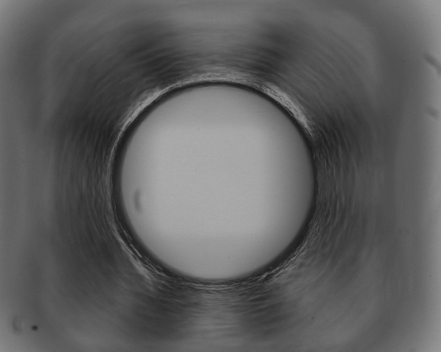 X0000091990436200709061224