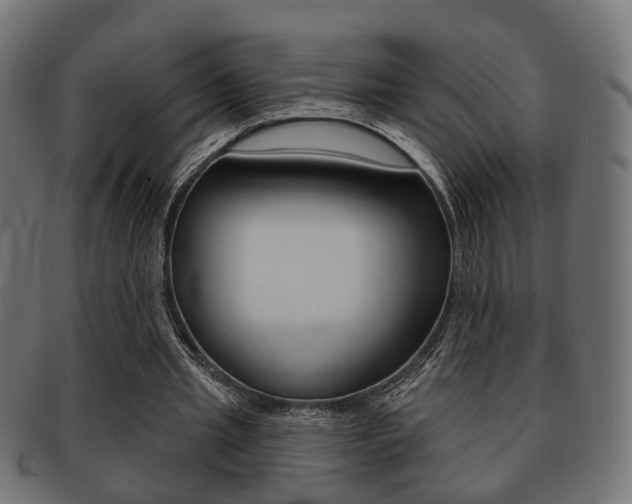 X0000091990437200709061224