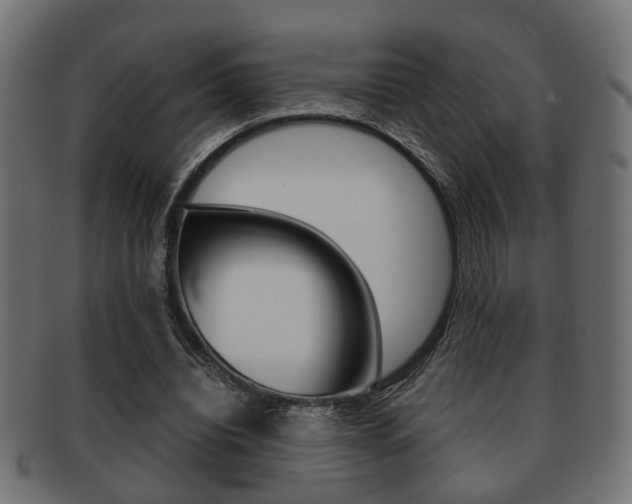 X0000091990440200709061224
