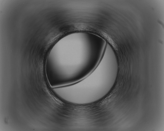 X0000091990442200709061224
