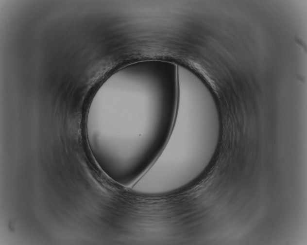 X0000091990443200709061224