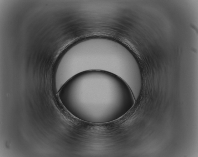 X0000091990444200709061224