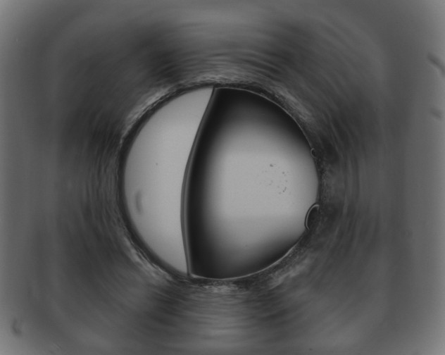 X0000091990446200709061224