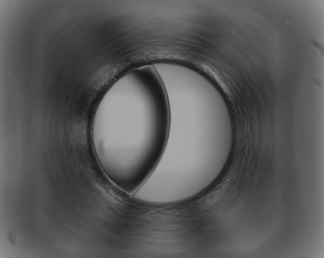 X0000091990447200709061224